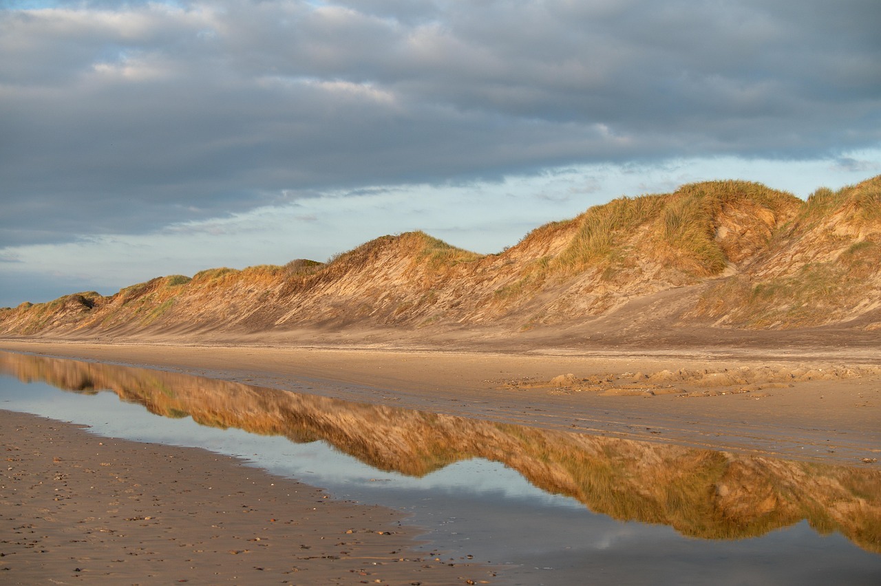 덴마크 유산균 다이어트 효과