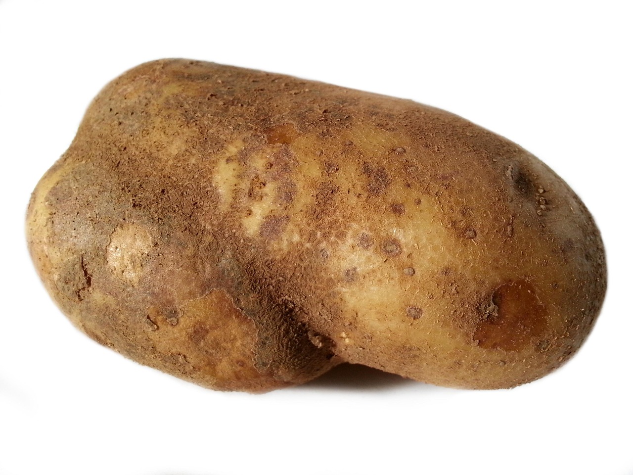 다이어트 두부면 김밥 레시피 씨제이 고단백 두부면 요리