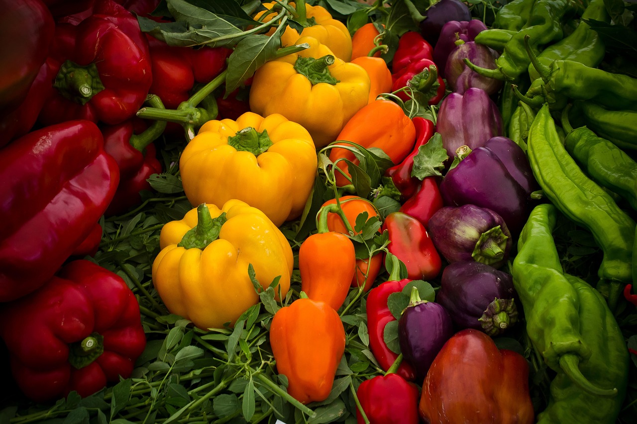 다이어트약 술 먹고