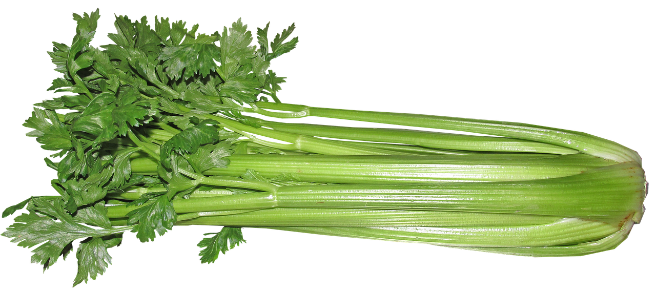 채소 다이어트 효과